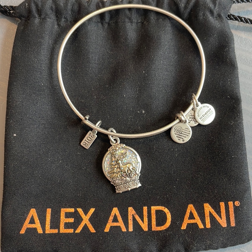 Snow Globe Alex and Ani Bangle Bracelet